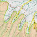 Colorado Unit 13 Bear Concentrations