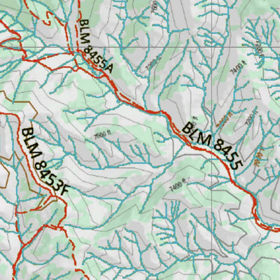 Colorado Unit 35 Bear Concentrations