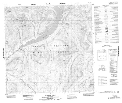 Surprise Lake, BC (104N11 CanMatrix)