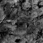 Unnamed, NT (087F16 CanMatrix)