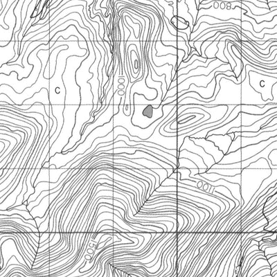 Florence Lake, NT (106H01 CanMatrix)