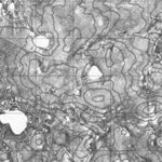 Unnamed, NT (088D03 CanMatrix)