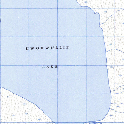 Kwokwullie Lake West, BC (094P07 CanMatrix)
