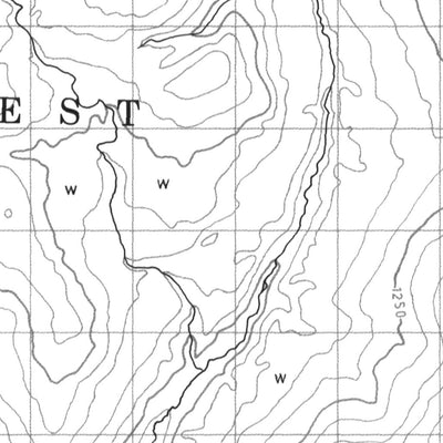 Manson Lakes, BC (093N09 CanMatrix)