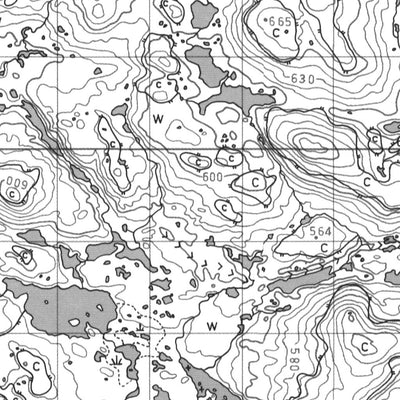 Main Lake, NL (013L14 CanMatrix)