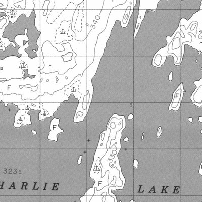 Charlie Lake, NU (065C02 CanMatrix)