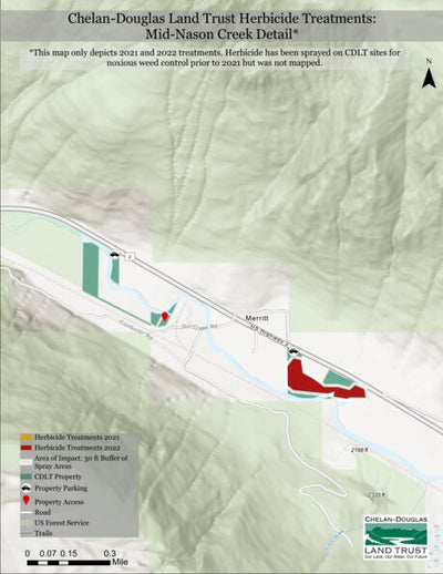 Mid-Nason Creek Detail