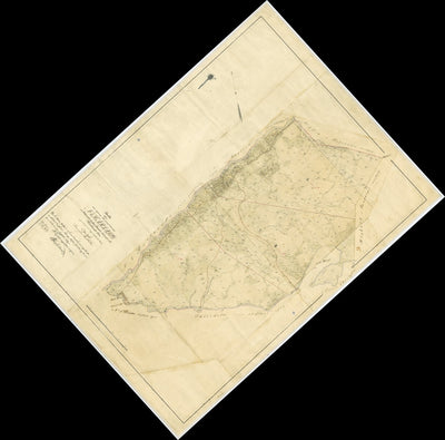 13-ull-39 Hårsared