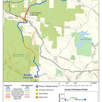 Catamount Trail - Section 6