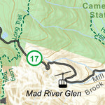 Catamount Trail - Section 19