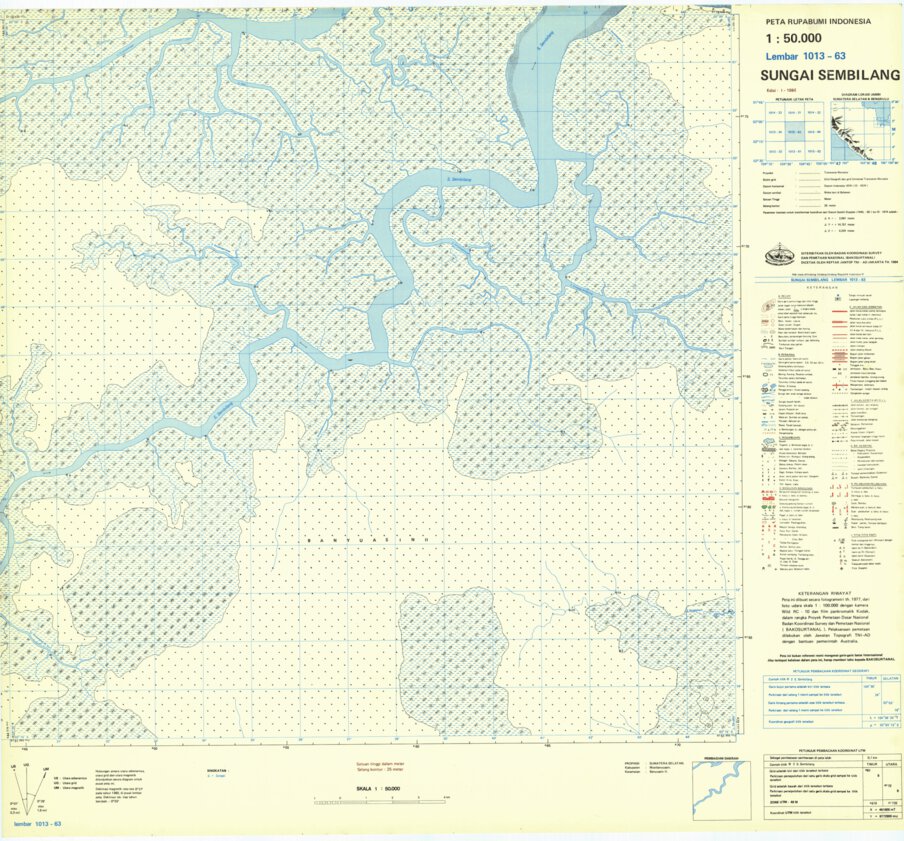 Sungai Sembilang (1013-63) Map by Badan Informasi Geospasial | Avenza Maps