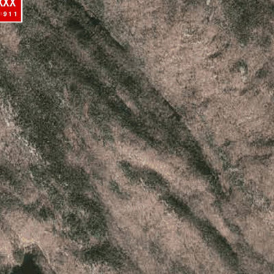 Sentiers Expédition - Cap 360 - Mont Gorille