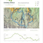 APO 10: The unexpected forest