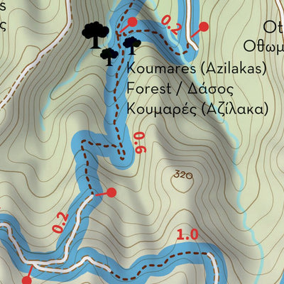 APO 10: The unexpected forest