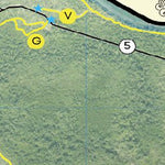 Ol’ Florida Off Road Park