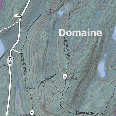 Chasse orignal - Zones 110 et DOMAINE - Satellitaire - 2023 v1