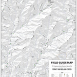 Forney and Noland Creeks - GSMNP - Fly Field Guides Preview 1