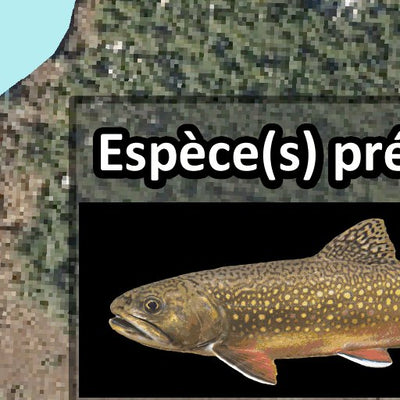 Zec Batiscan-Neilson / Lac Civens Preview 3