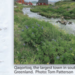 Exploring Greenland's Southern Tip - Islands, Fjords, and Ice Preview 3