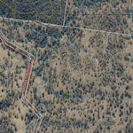 GOLDEN GULLY (9243-111i) Preview 2