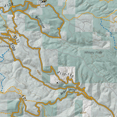 Snowmobile and Nordic Trails in the Central Cascades: Kittitas and Yakima County. Large (36x36