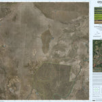 Epping Forest (8253-31i) Preview 1