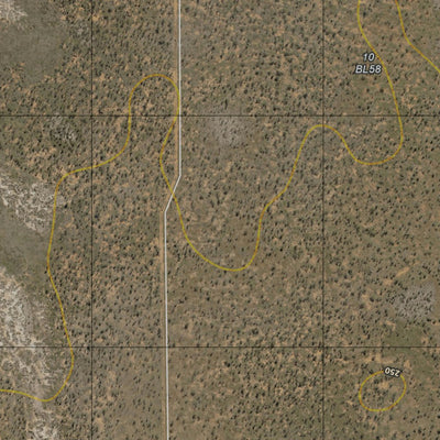 Epping Forest (8253-21i) Preview 3