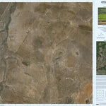 Epping Forest (8253-41i) Preview 1