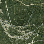 Vulcan State Forest 2024 - East Preview 3