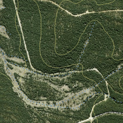 Vulcan State Forest 2024 - East Preview 3