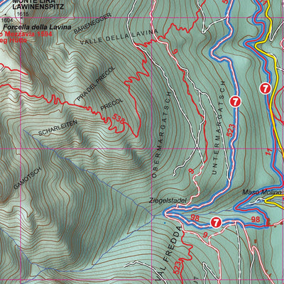 4LAND Srl 4LAND - Passo della Mendola-Mendelpass digital map