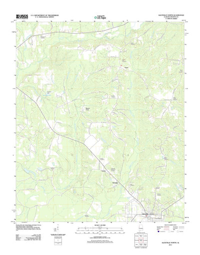 Aliceville North, AL (2011, 24000-Scale) Preview 1