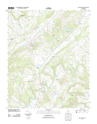 Blountsville, AL (2011, 24000-Scale) Preview 1