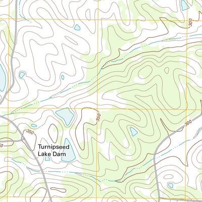 Fitzpatrick, AL (2011, 24000-Scale) Preview 2
