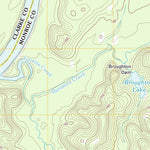Flynns Lake, AL (2011, 24000-Scale) Preview 2