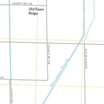 Leachville, AR-MO (2011, 24000-Scale) Preview 2