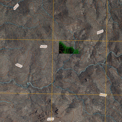 Guadalupe Canyon, AZ-NM (2010, 24000-Scale) Preview 3