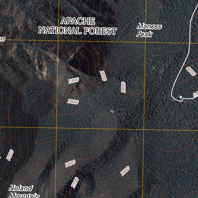 Maness Peak, AZ-NM (2011, 24000-Scale) Preview 2