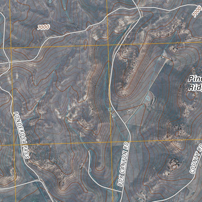 Pine Ridge, CO (2010, 24000-Scale) Preview 3
