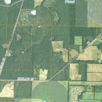 Bascom, FL-GA (2011, 24000-Scale) Preview 2