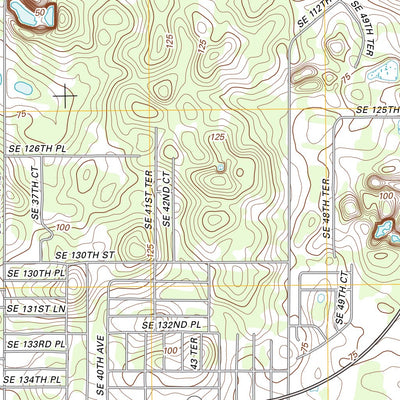 Belleview, FL (2012, 24000-Scale) Preview 3