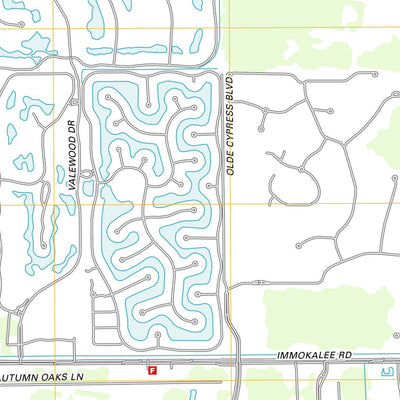 Corkscrew SW, FL (2012, 24000-Scale) Preview 3