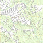 Kingsley, FL (2012, 24000-Scale) Preview 3