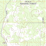Lake Delancy, FL (2012, 24000-Scale) Preview 3