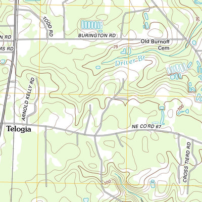 Telogia, FL (2012, 24000-Scale) Preview 3