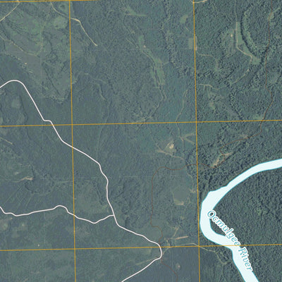 Abbeville North, GA (2011, 24000-Scale) Preview 2