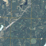 Albany NE, GA (2011, 24000-Scale) Preview 3