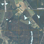 Alston, GA (2011, 24000-Scale) Preview 2