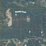 Altamaha SW, GA (2011, 24000-Scale) Preview 3