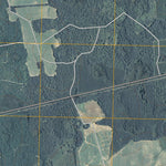 Arlington, GA (2011, 24000-Scale) Preview 3